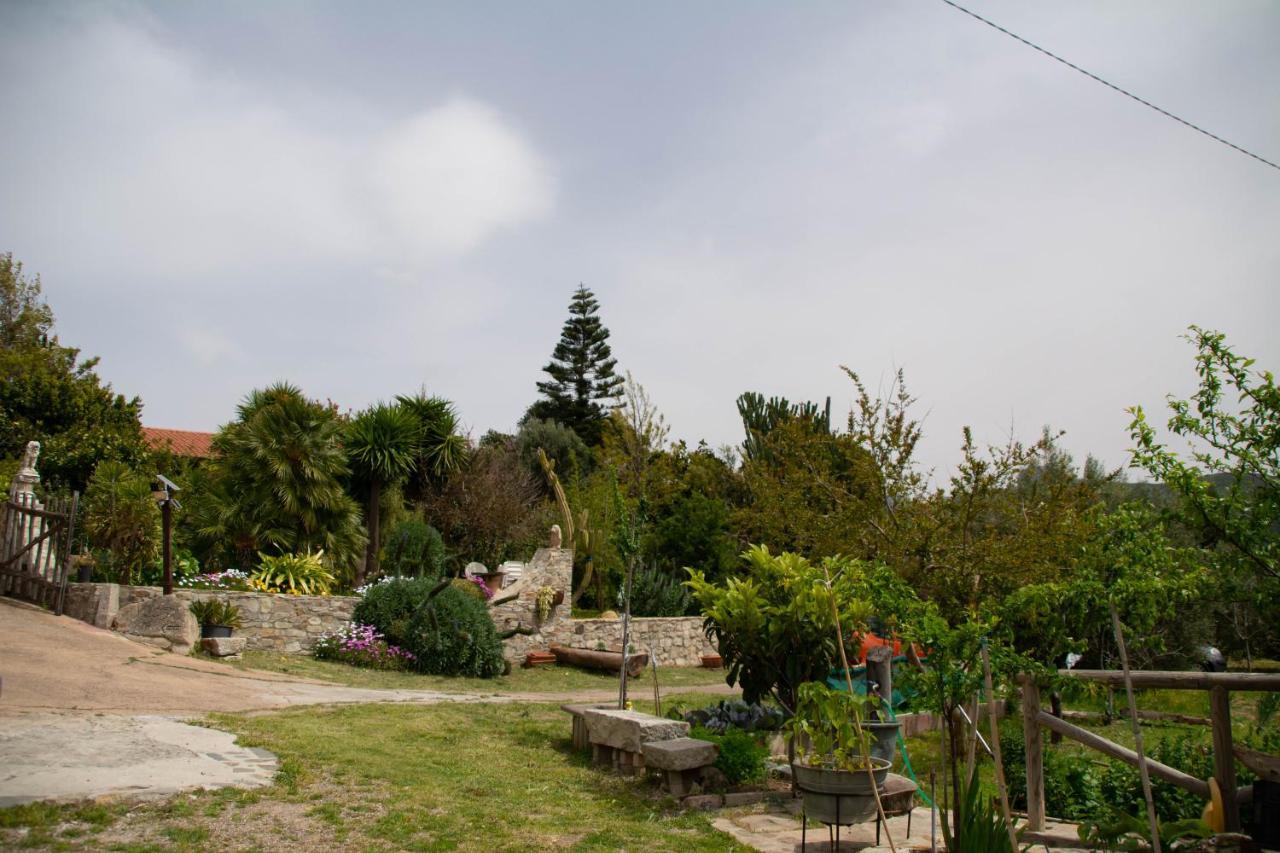 B&B Il Giardino Арбус Екстериор снимка